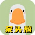 服装鞋帽 / 商超管理 / 精品推荐